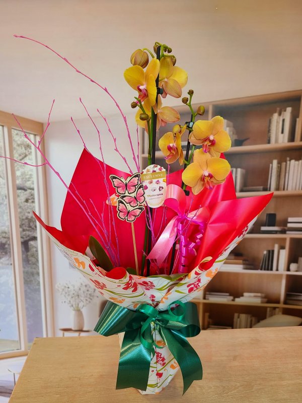 Orquídea Naranja Vibrante con Maceta de Cerámica Elegante