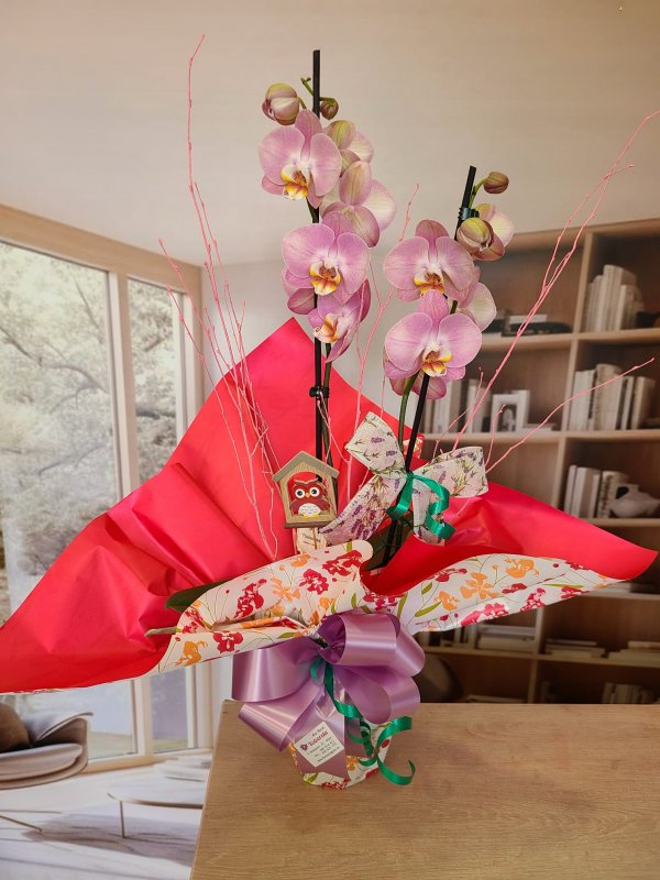 Orquídea Rosa Delicada con Maceta de Cerámica Elegante